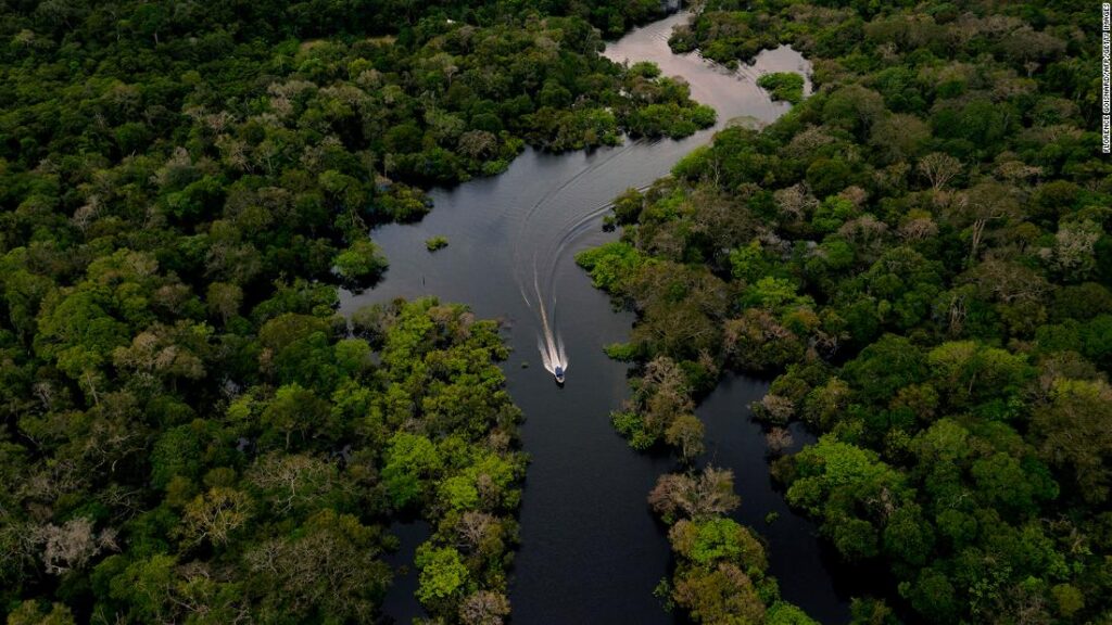 Amazon close to tipping level of shifting from rainforest to savannah, new research suggests