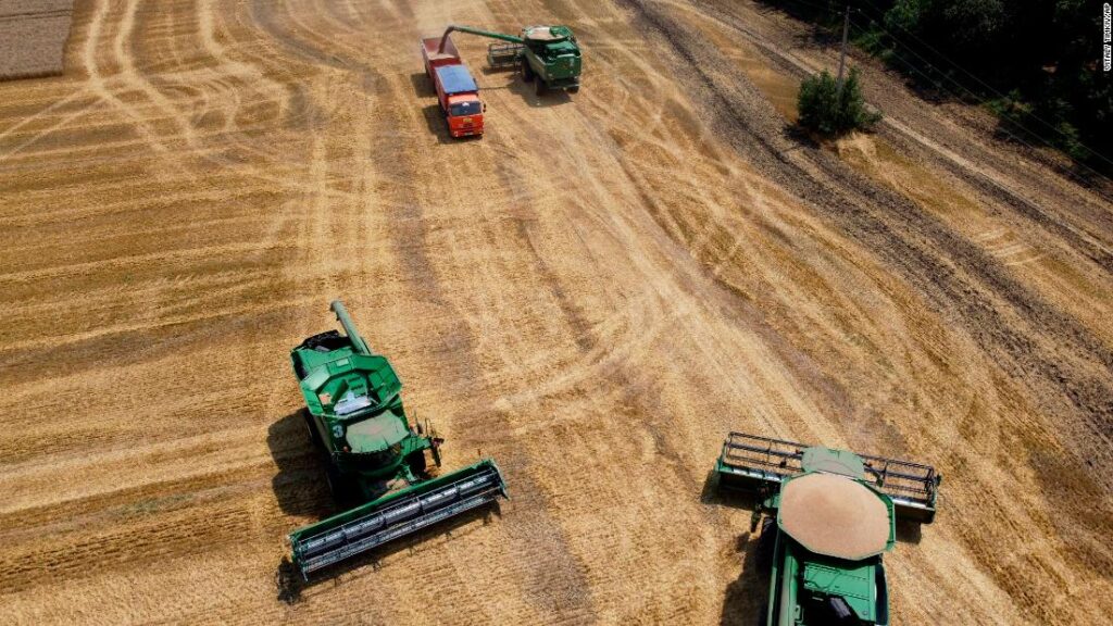 Conflict has introduced the world to the brink of a meals disaster