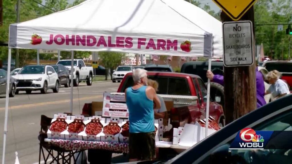 How candy it’s! Ponchatoula Strawberry Pageant returns after two-year absence