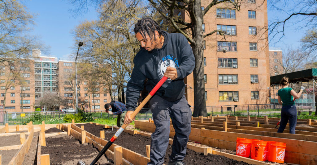 The Unlikely Ascent of New York’s Compost Champion