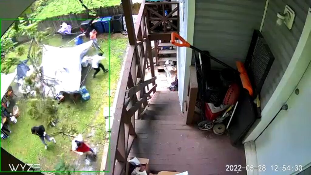 Household runs for canopy after tree crashes down on yard tent in Plainfield, New Jersey