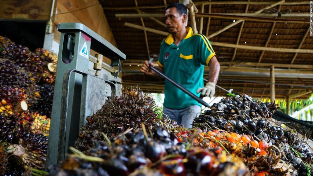 Meals value aid? Indonesia lifts palm oil export ban