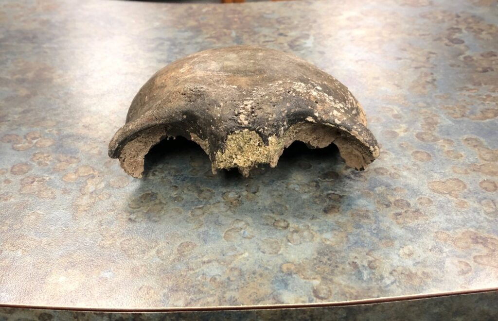Kayakers On Minnesota River Discovered Human Cranium That Turned Out To Be Practically 8,000 Years Previous – WCCO