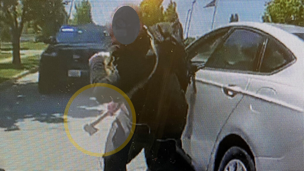 Naperville taking pictures right this moment: Police shoot, kill man who allegedly attacked officer with hatchet close to McDowell Street, Bond Road