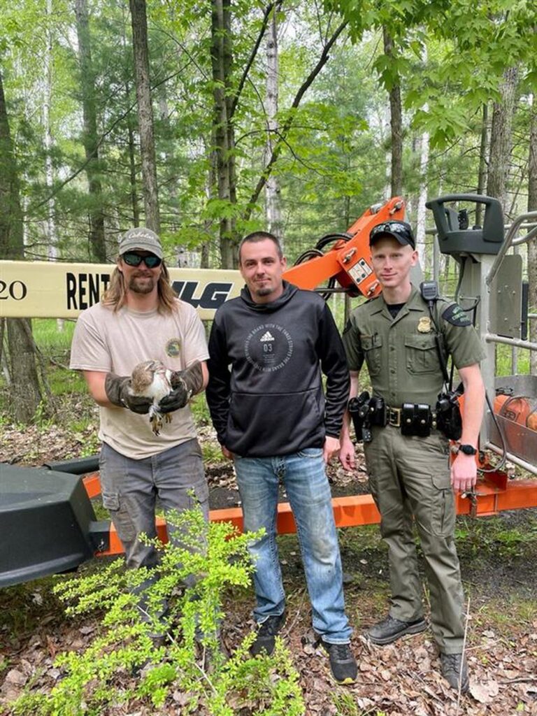 DNR rescues hawk tangled in fishing line from tree