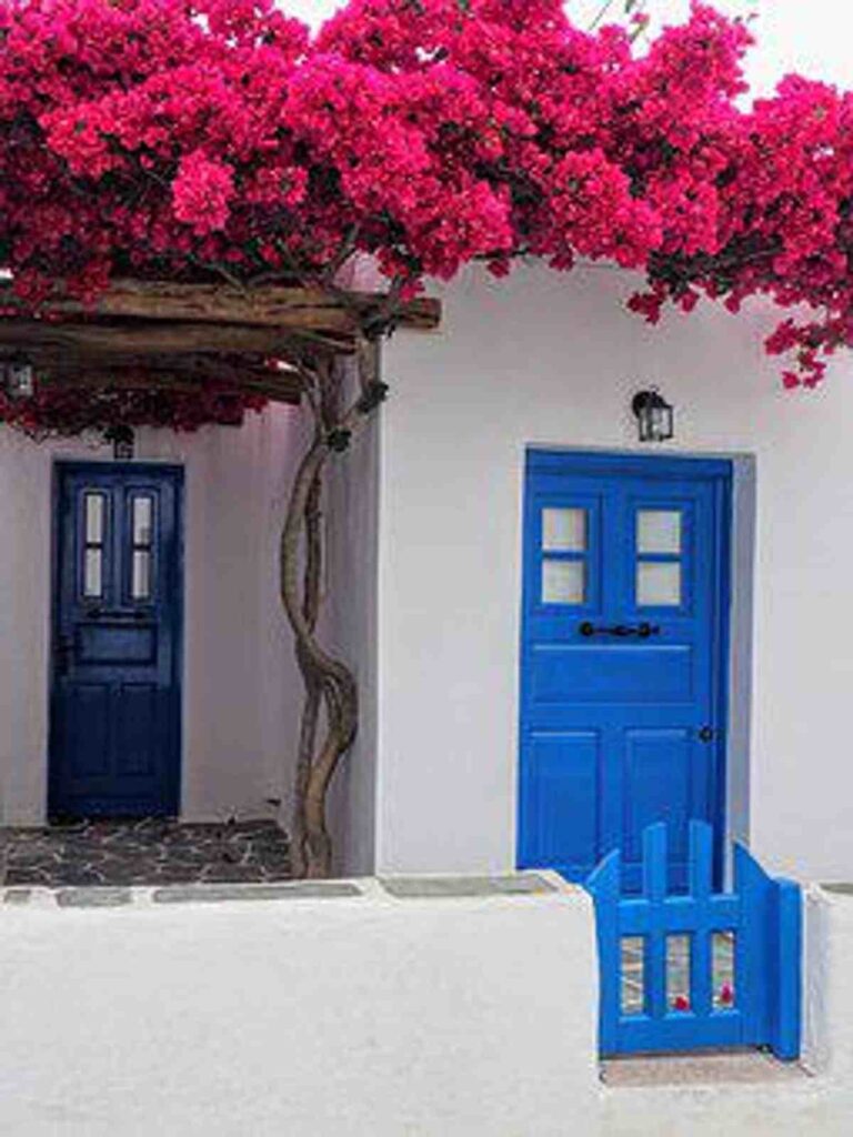 Techniques for Choosing Commercial Doors