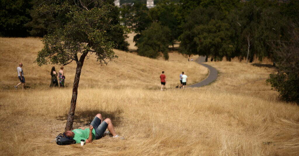 Drought Is Declared in Components of a Scorching, Dry Britain