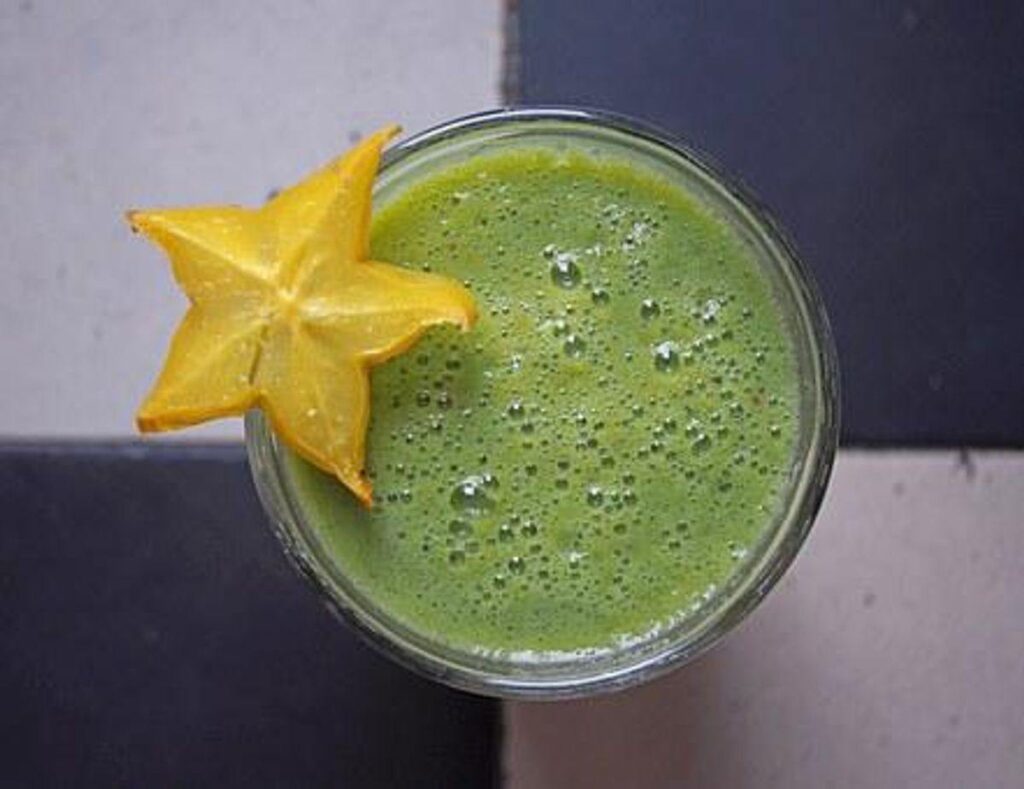 Gourmia Juicer Opinions