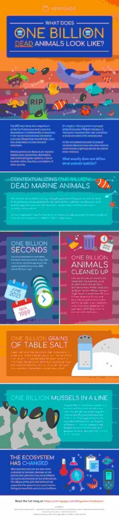 Are Infographic Templates Useful in Novel Writing?