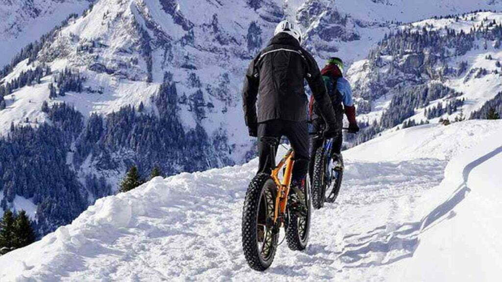 Peregrine Excursions Evaluations – Intrepid Journey Vs Peregrine Excursions