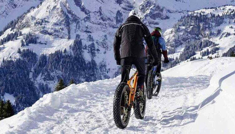 Peregrine Tours Reviews