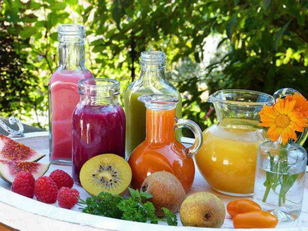 Philips Juicer Evaluation – Which Juicer is Proper For You?