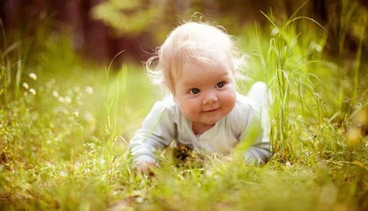 How to Teach Your Child to Garden