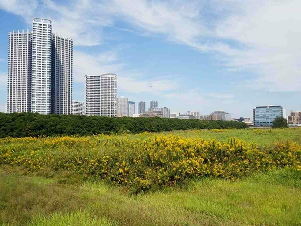 How you can Profit From Vacant Land With out Selling It