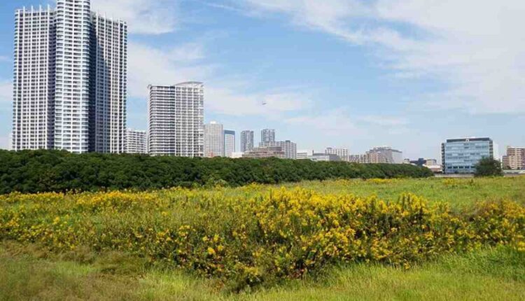 How To Profit From Vacant Land