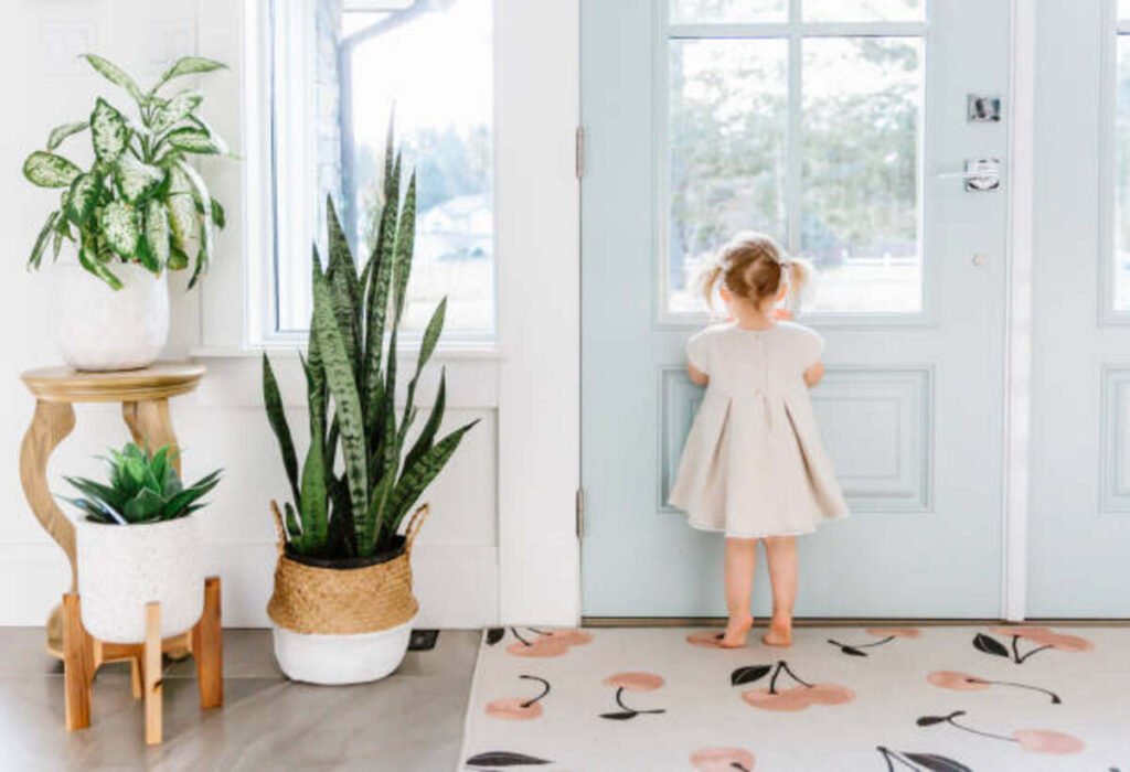 Using Console Tables and Area Rugs to Beautify Your Entryway