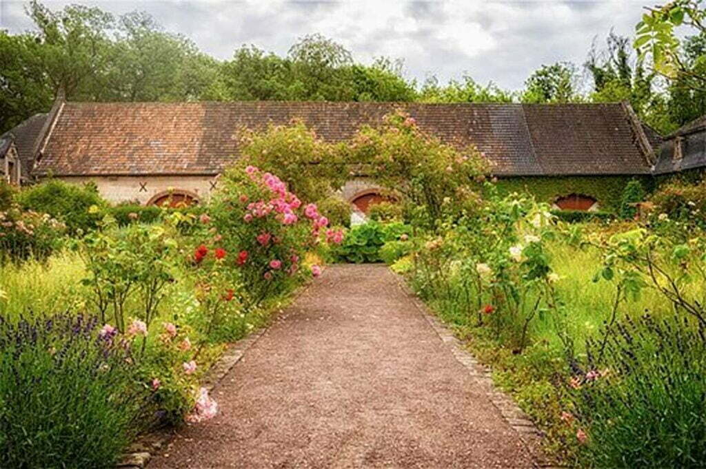 Methods to Develop Herbs in Your Herb Backyard