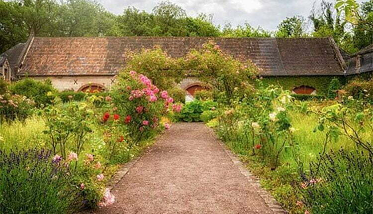 herb garden
