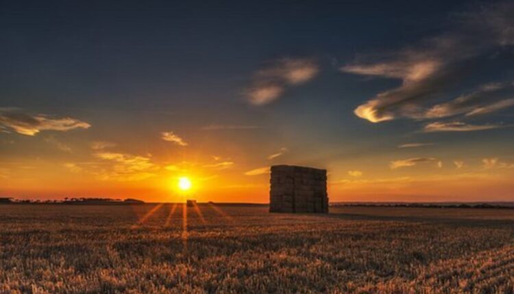 hay for sale near me