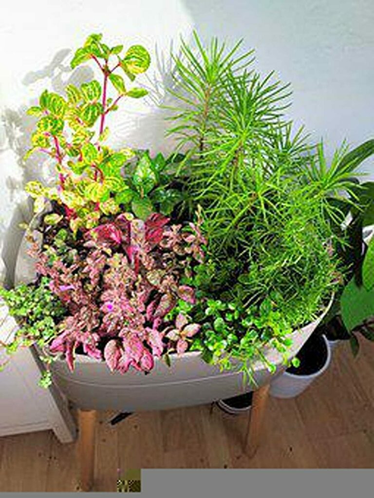 Indoor Plant Pots – Bringing the Outdoor Indoors