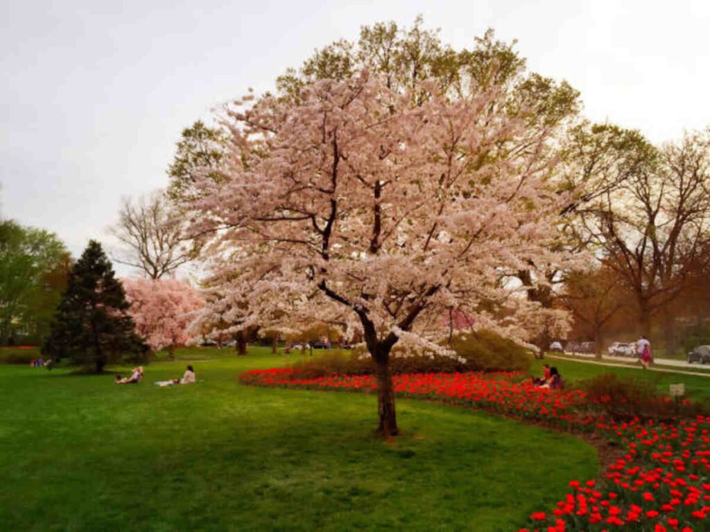 Sherwood Gardens in Baltimore