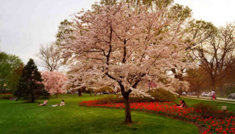 sherwood gardens