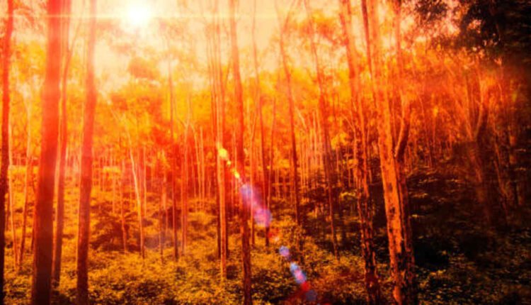 yelagiri places to visit