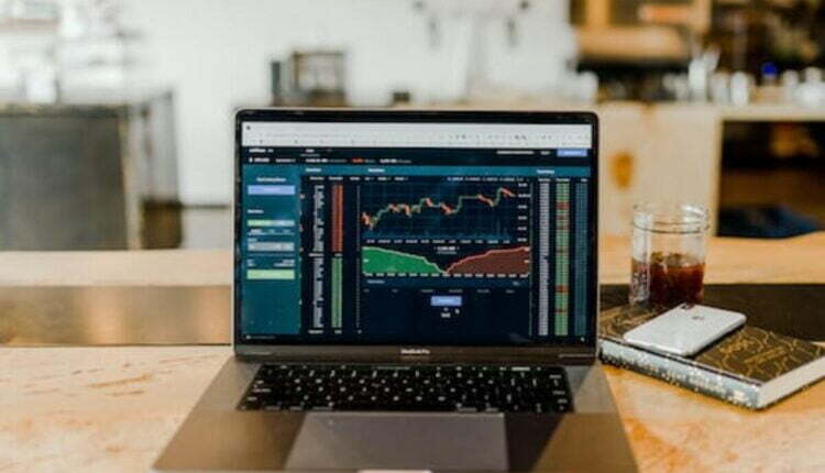 little panda forex signals review