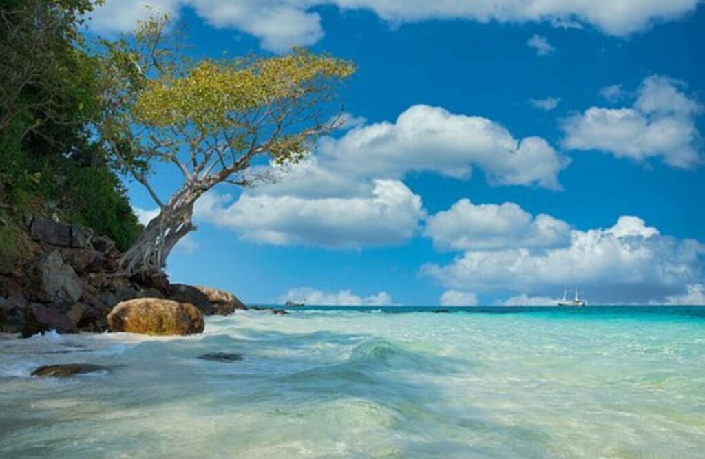 Inteletravel Agent Benefits
