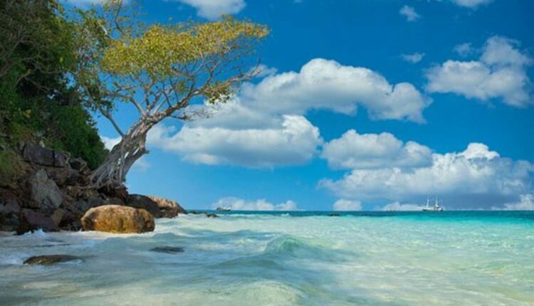 Inteletravel Agent Benefits