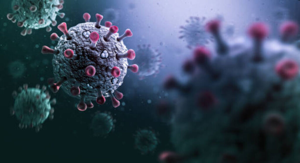 What causes and how to avoid monkeypox.