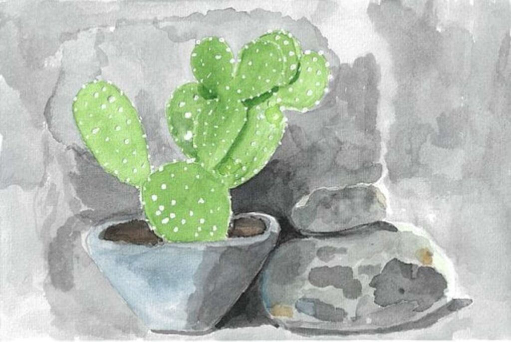 Health Benefits of Cactus