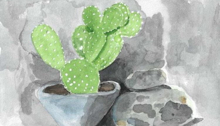 peyote cactus for sale