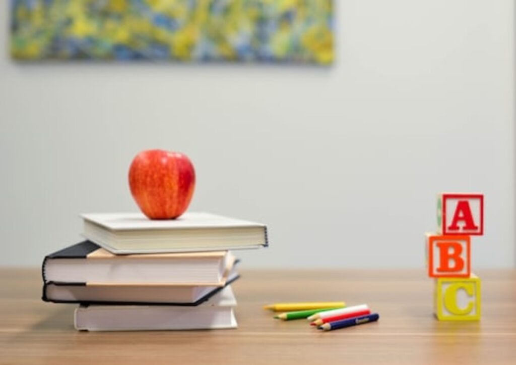 Creating Inclusive Educational Initiatives Through Books for the Blind