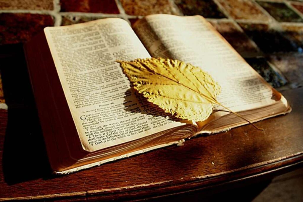 The Faith of a Canaanite Woman: A Testament of Perseverance and Hope The Faith of a Canaanite Woman: A Testament of Perseverance and Hope