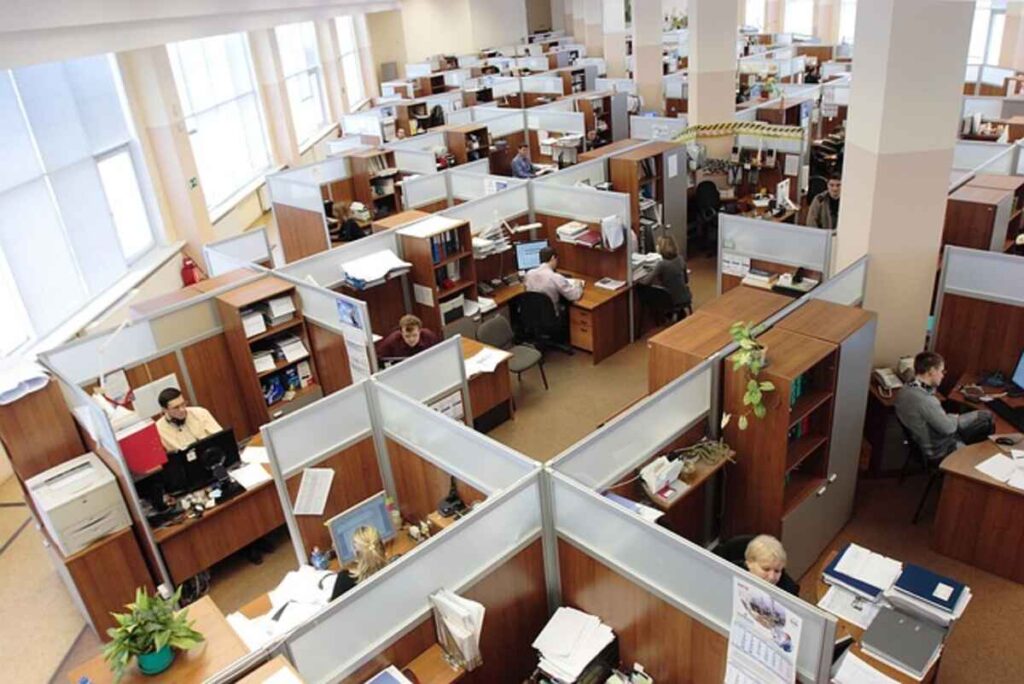 What Kind of Company is Insider?
