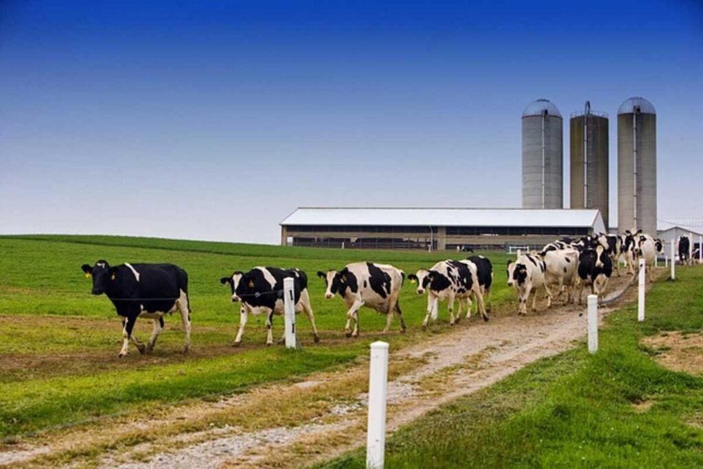 Alliance, Ohio – A Great Place to Live and Work