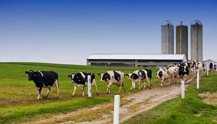family farm and home alliance ohio