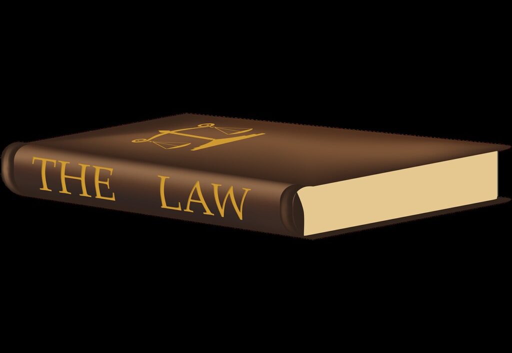 How Ezer Williamson Law Helps Clients Avoid Litigation