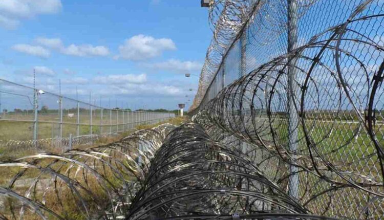 immigration law florida