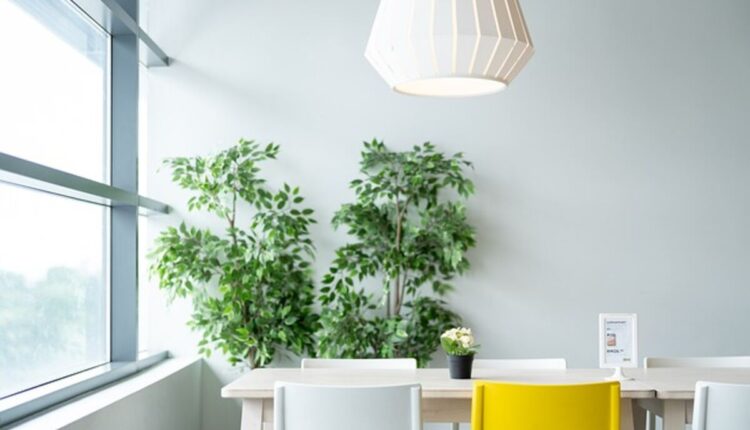Planta Protein
