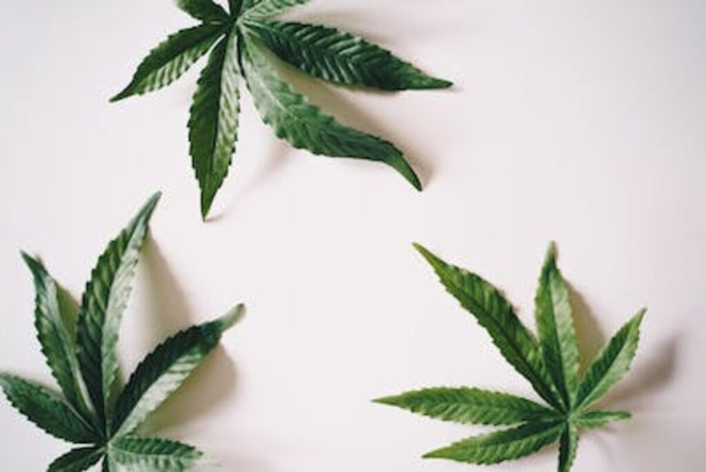 What is THC-X?