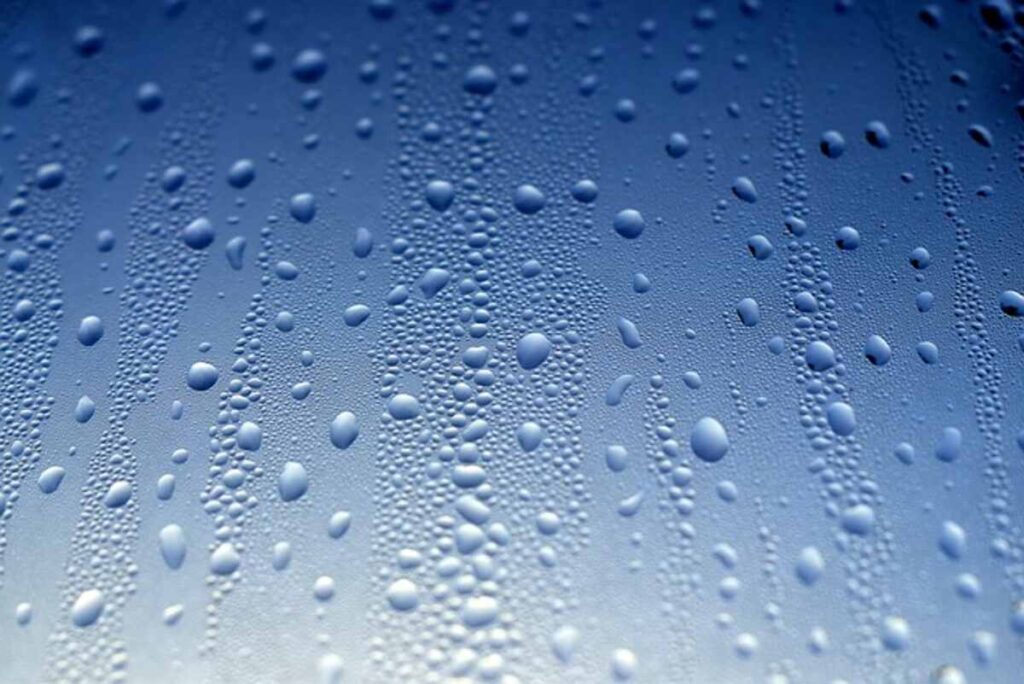 Frosted Window Film