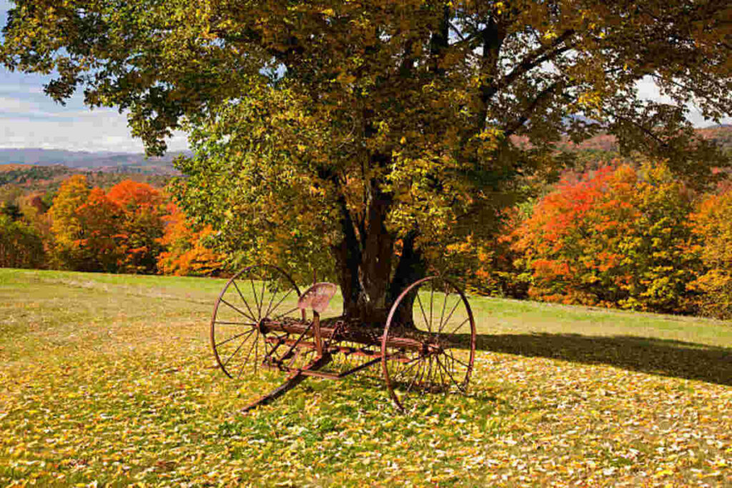 Vermont Farm & Garden – By Owner