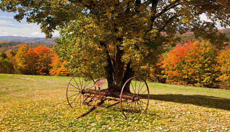 Vermont Farm & Garden - By Owner