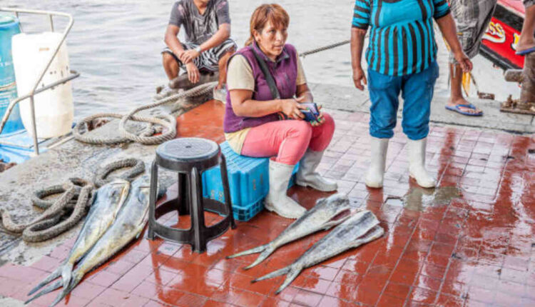 Fishing Report