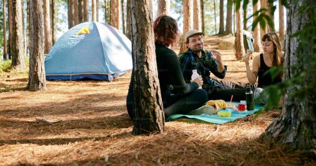 Hobart Accommodation & Tours