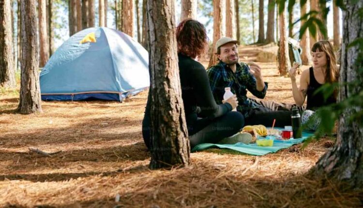 Hobart Accommodation & Tours