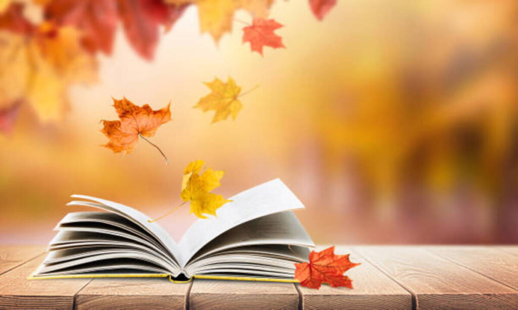 Learning How to Fly Book Review