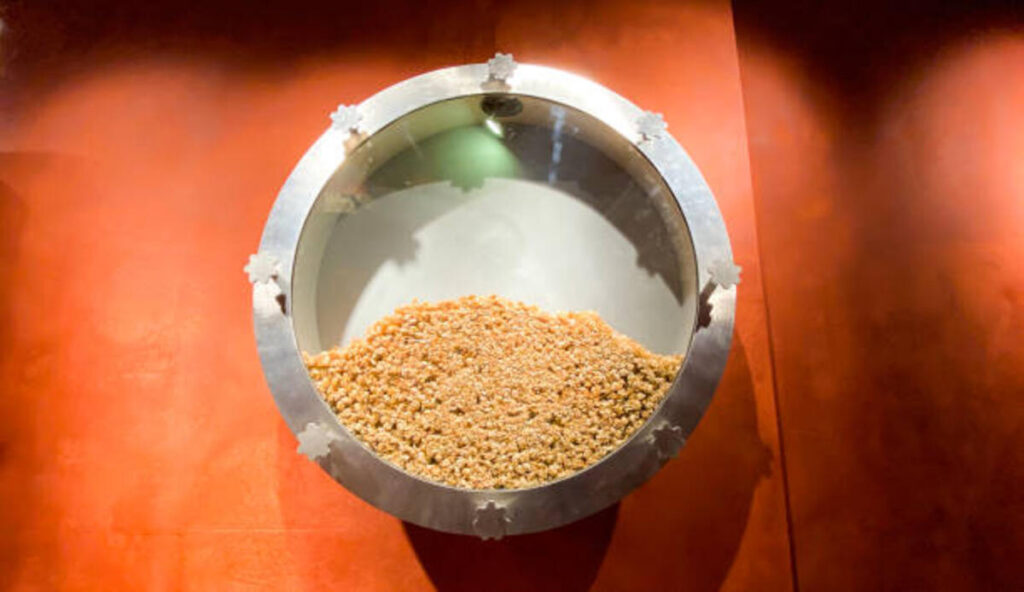 Optimizing Your Dal Mill Plant: Tips and Best Practices